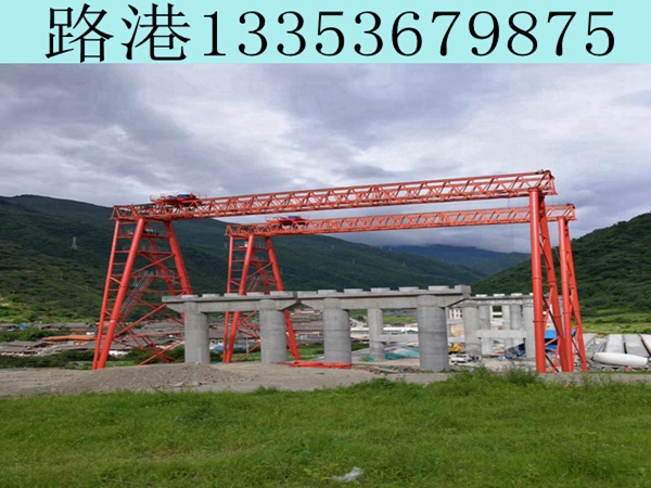 柳州100吨龙门吊 柳州100吨龙门吊