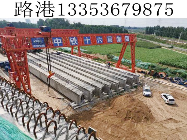 160T龙门吊 160T龙门吊