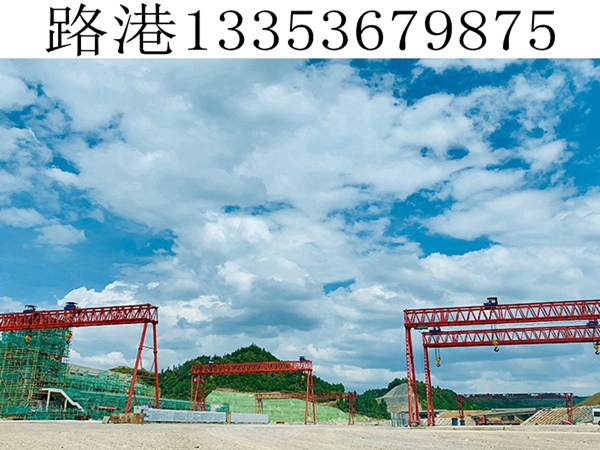 花架龙门吊出租 花架龙门吊出租