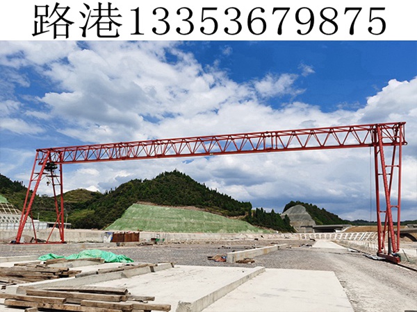 西藏拉萨龙门吊出租厂家 单机双小车型