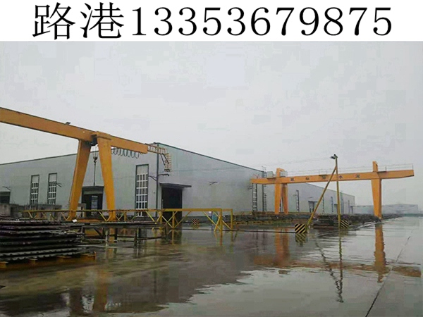 海南三沙龙门吊主要特征有哪些
