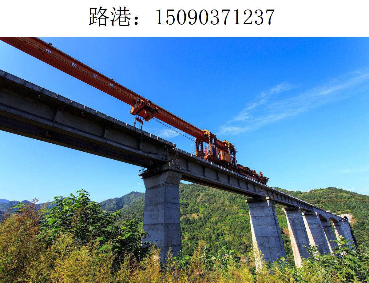 1237路港架桥机203